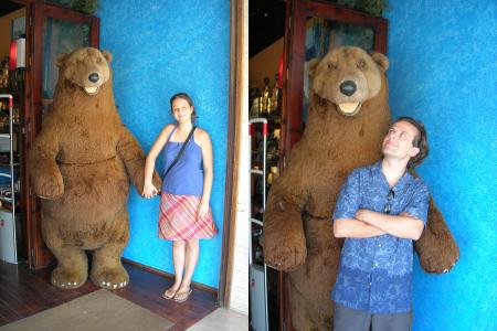 l'ours